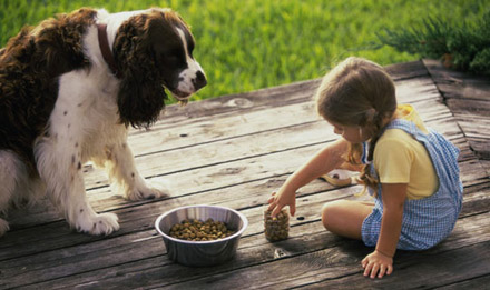 Девочка кормит собачку