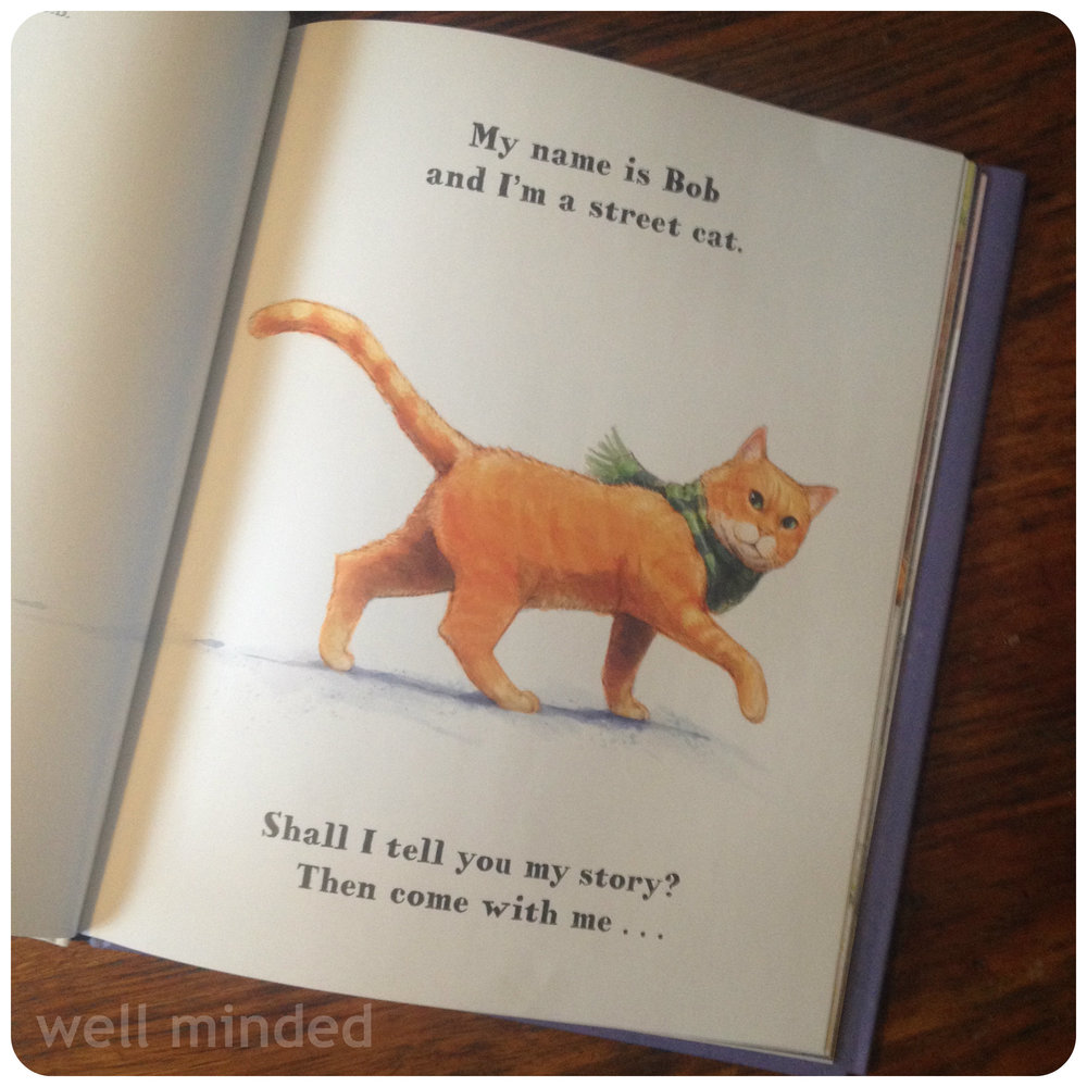 Книжка о уличном котике