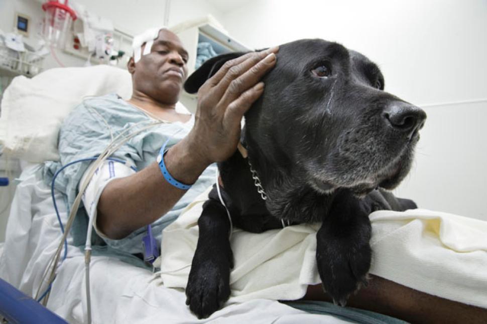 собака спасла слепого человека